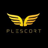 Plescort Service